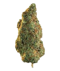 Weed